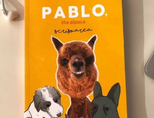 pablo the alpaca